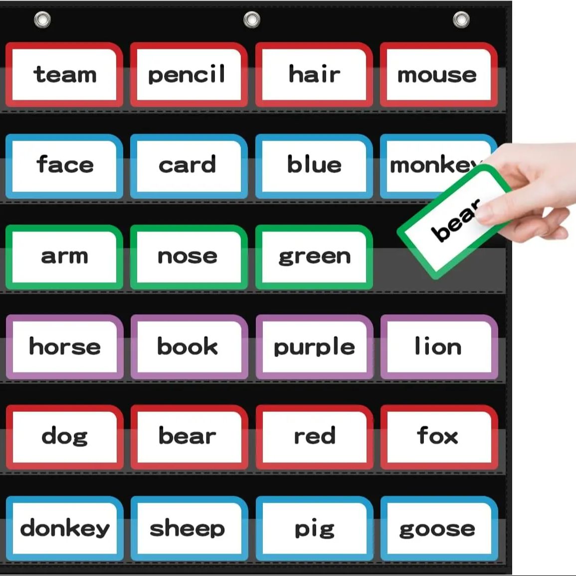 Baby Food Chart - Standard Pocket Chart for Classroom Teaching