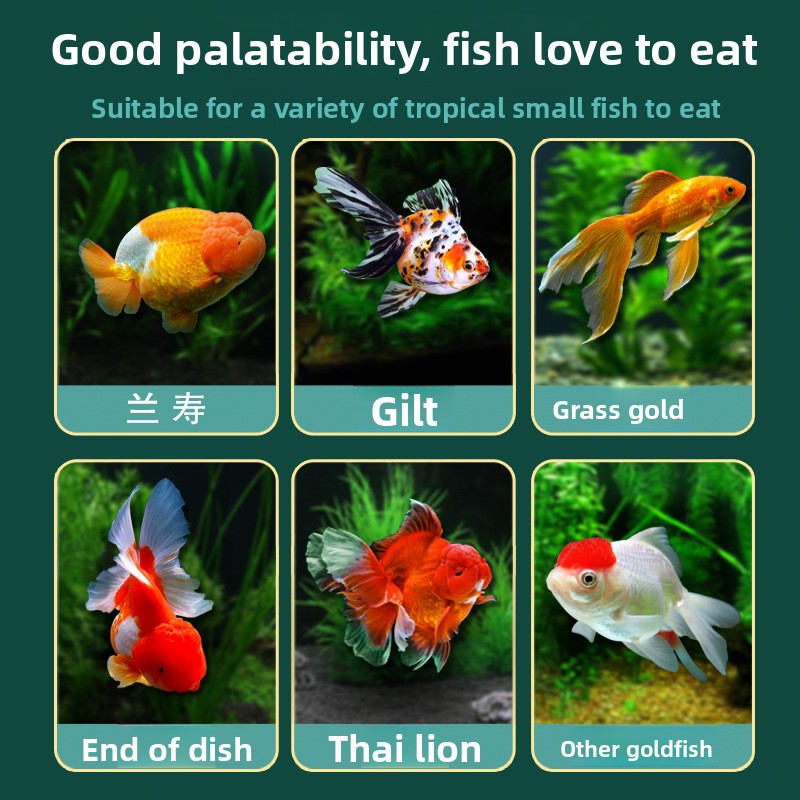 DEERA Micro Pellets Goldfish F - Baby Food Diet 리뷰 및 가격
