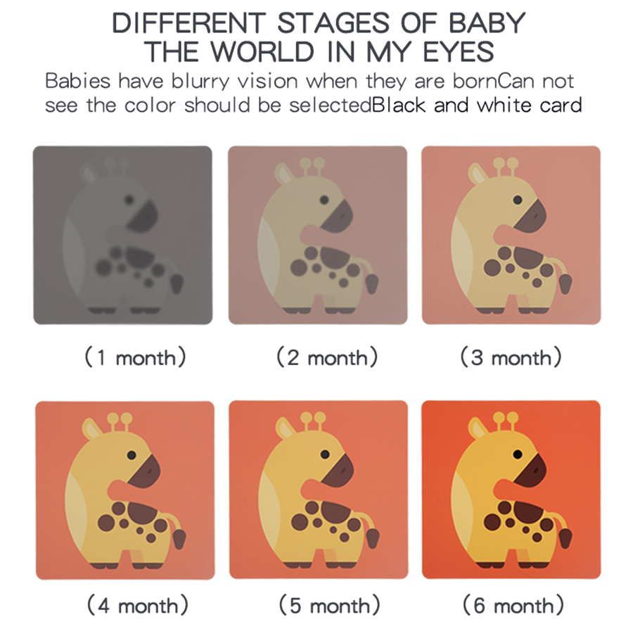 Baby Visual Stimulation Cards  - Baby Food Eat 리뷰 및 가격