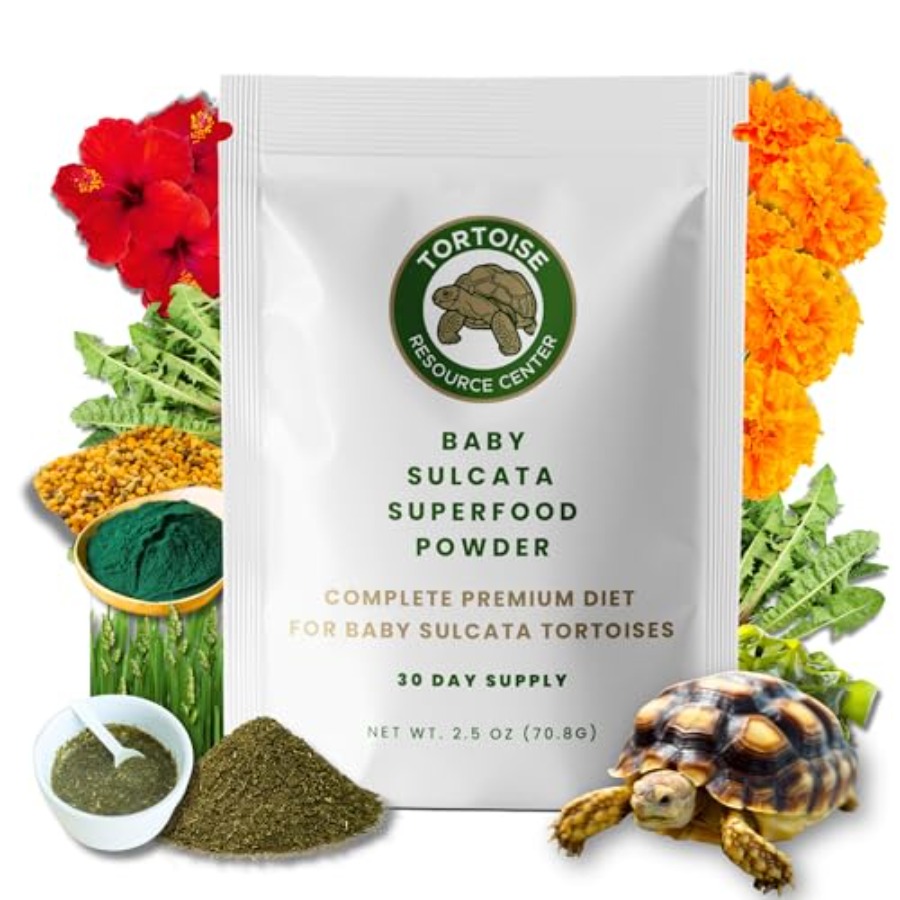 【Spot goods】Baby Sulcata Food  - Baby Food With Protein 리뷰 및 가격