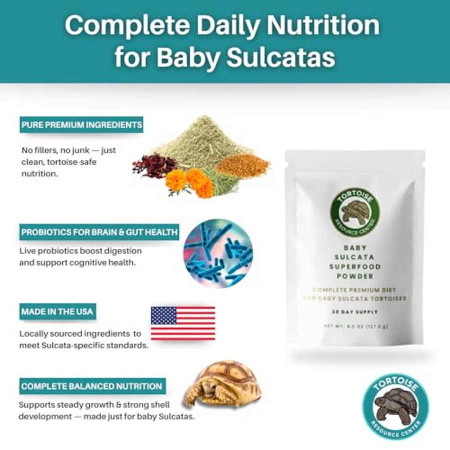 【Spot goods】Baby Sulcata Food  - Baby Food With Protein 리뷰 및 가격