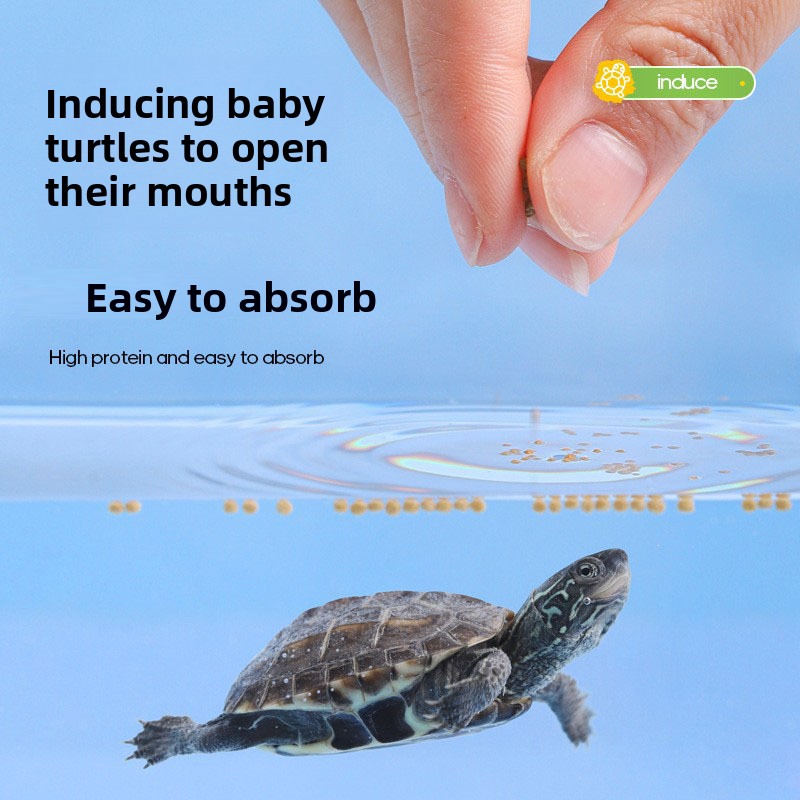 Fulepets High Protein Baby Tur - Baby Food With Protein 리뷰 및 가격