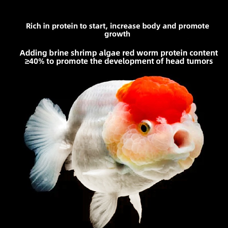 Fish Baby Sinking Goldfish Foo - Baby Food With Protein 리뷰 및 가격