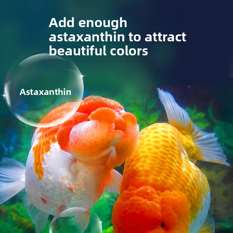 Fish Baby Sinking Goldfish Foo - Baby Food With Protein 리뷰 및 가격