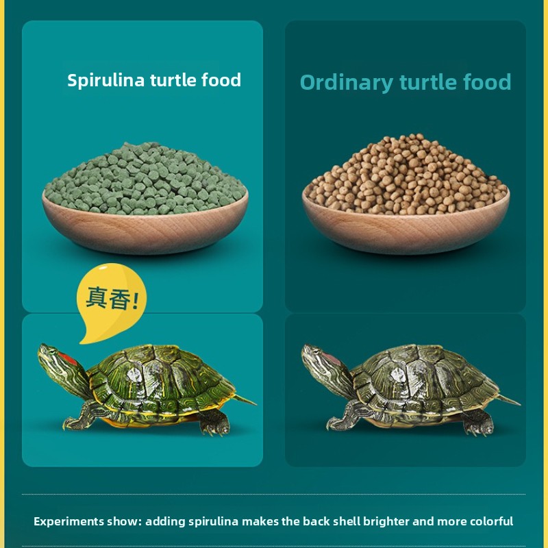 DEERA Red Eared Slider Turtle  - Baby Food Diet 리뷰 및 가격