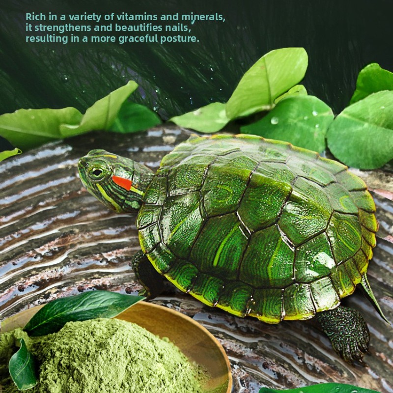 DEERA Red Eared Slider Turtle  - Baby Food Diet 리뷰 및 가격