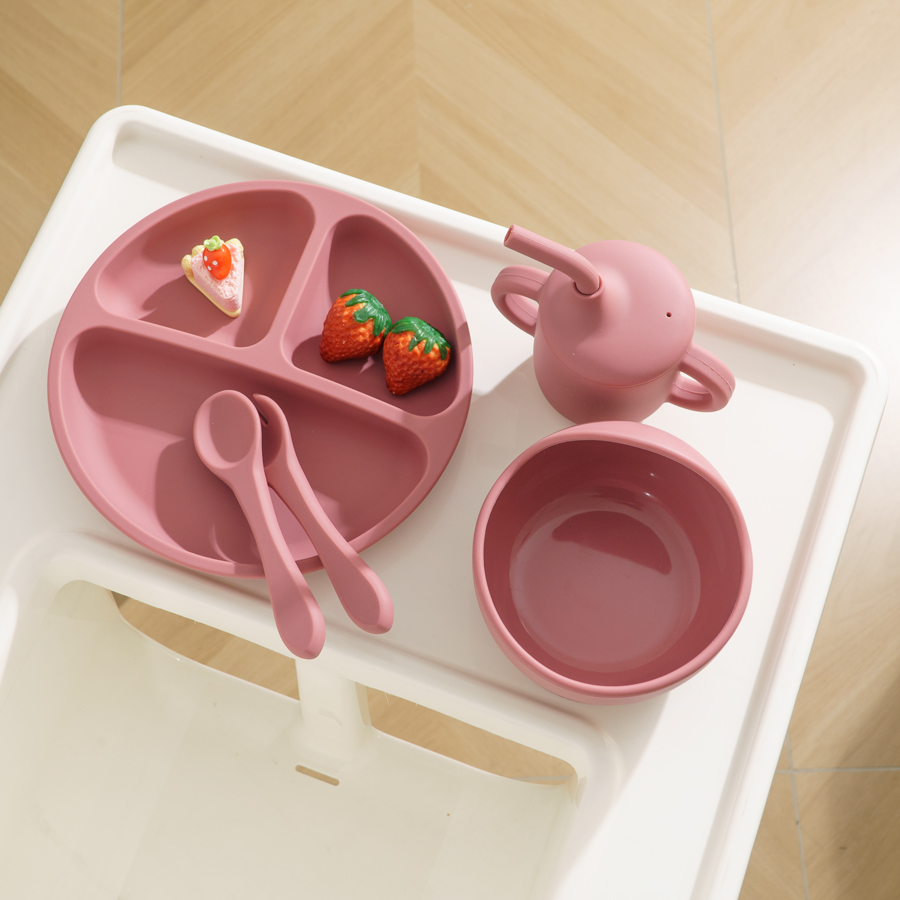 5PCS Baby Silicone Tableware S - Baby Food Chart 리뷰 및 가격