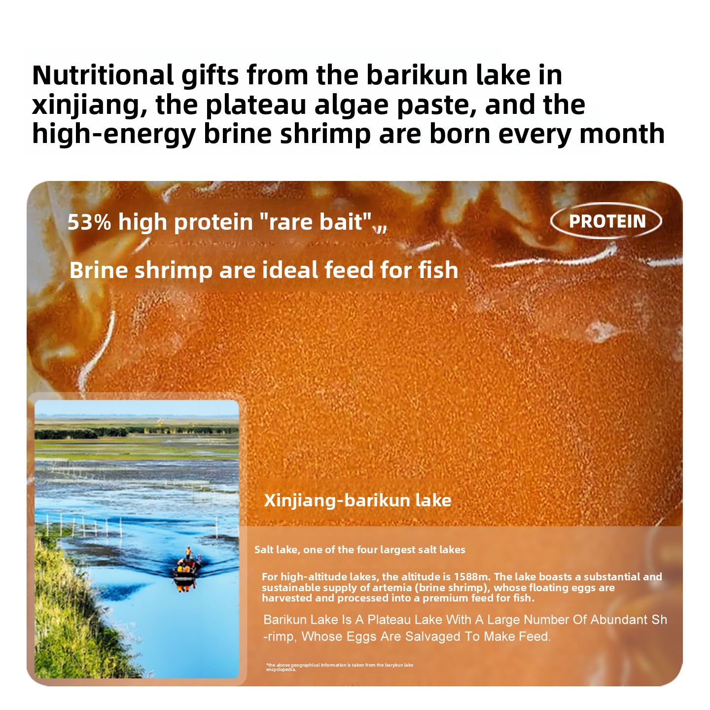SANKii Decapsulated Brine Shri - Baby Food With Protein 리뷰 및 가격