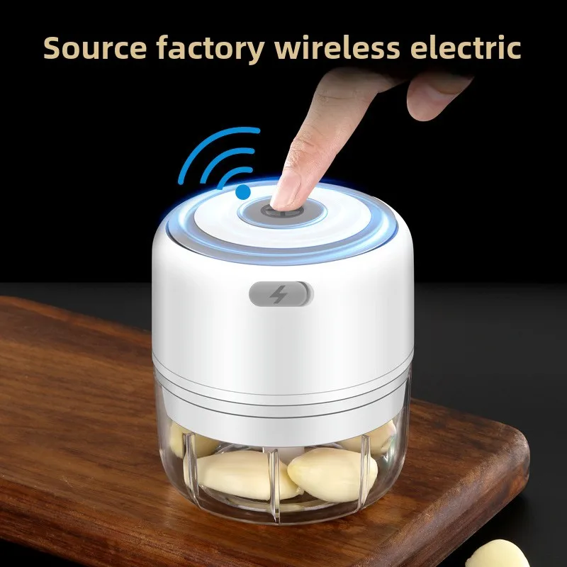 Electric Mini Garlic Chopper 1 - Baby Food Vegetable 리뷰 및 가격