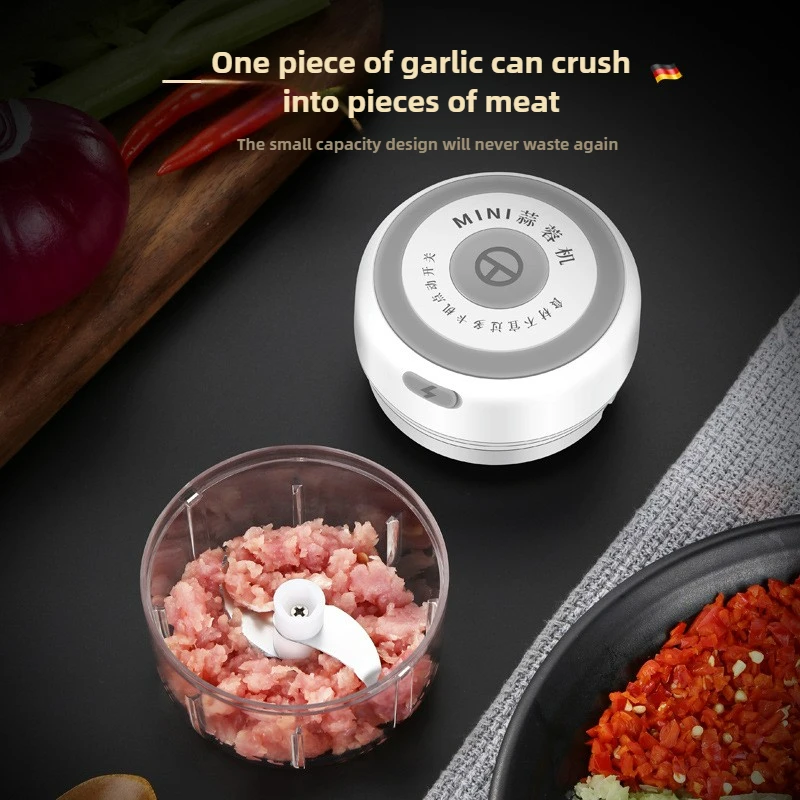 Electric Mini Garlic Chopper 1 - Baby Food Vegetable 리뷰 및 가격