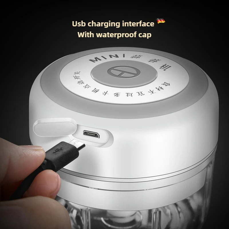 Electric Mini Garlic Chopper 1 - Baby Food Vegetable 리뷰 및 가격