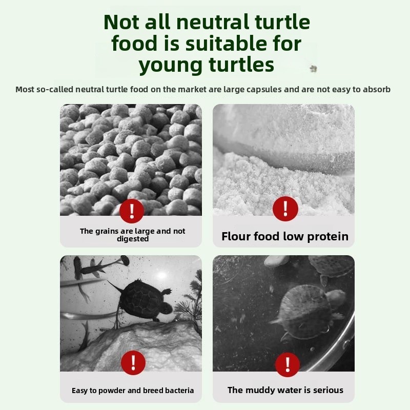 Nai chong Hatchling Turtle Foo - Baby Food With Protein 리뷰 및 가격