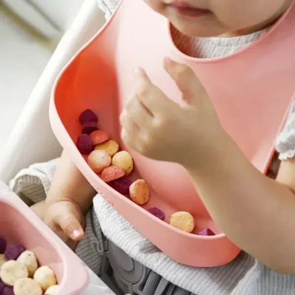 Food Grade Silicone Child Dish - Baby Food Bites 리뷰 및 가격