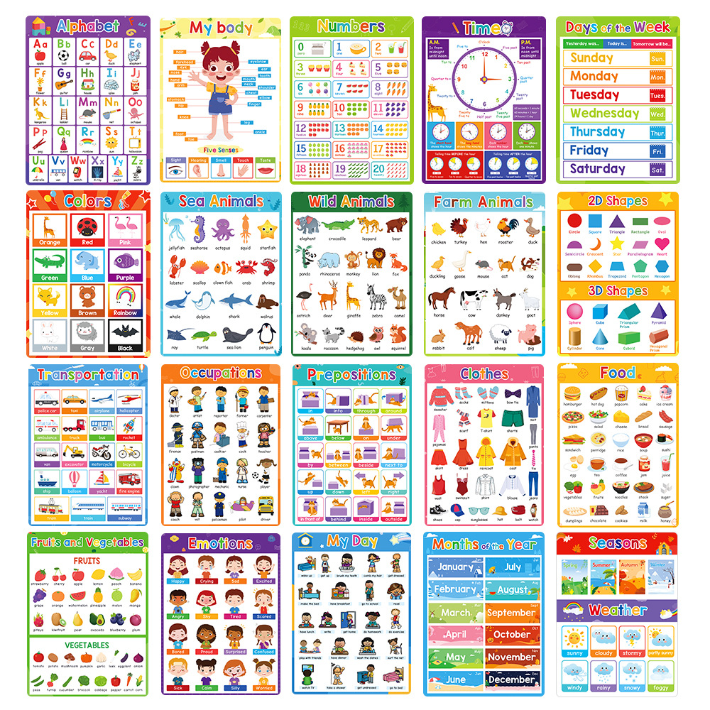 20 Themed Posters Set, A4 Engl - Baby Food Chart 리뷰 및 가격